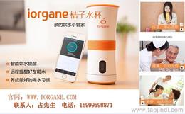 個人護理電器市場概覽 其他個人護理電器的價格、廠家與批發渠道